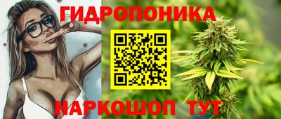 стафф Можга